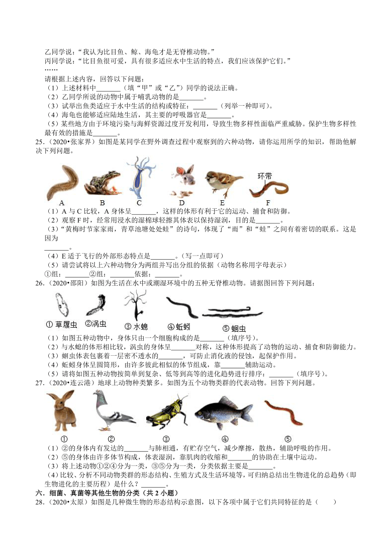 2020年全国中考生物试题分类（17）——生物分类：微生物、植物 （word版含解析）