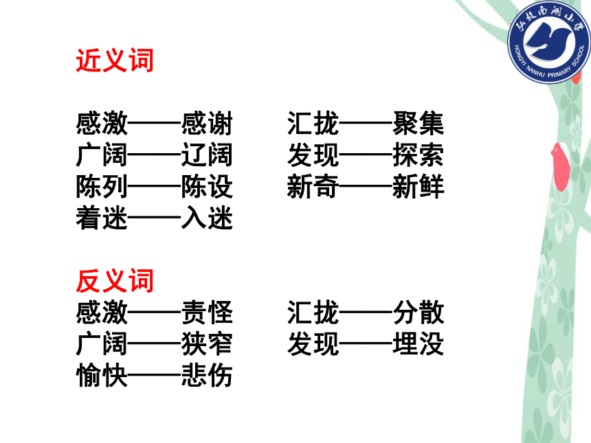 第一课 绿叶的梦 课件