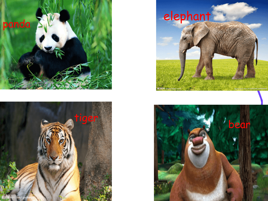 Unit 3 At the zoo PA Let's learn 课件