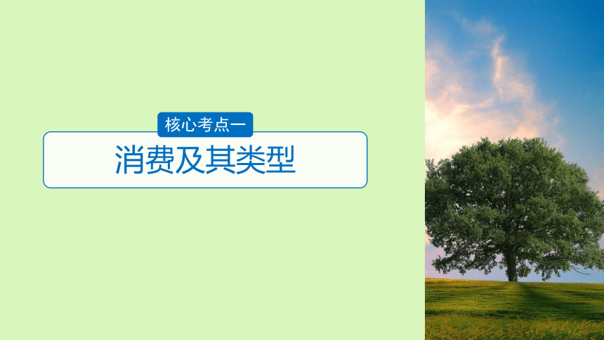 2019届高考政治一轮复习第一单元生活与消费第3课多彩的消费课件新人教版必修1