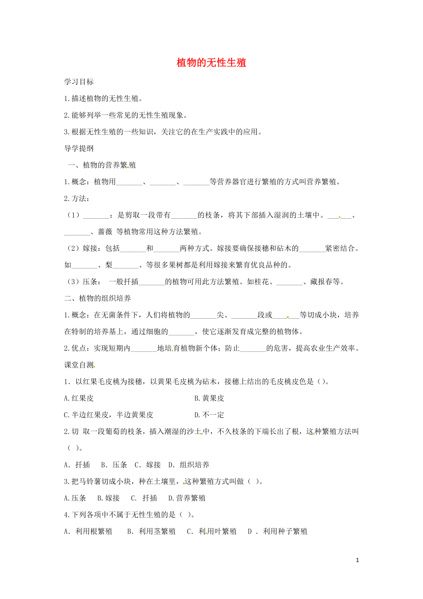 八年级生物上册4.1.7植物的无性生殖 导学案（新版）济南版