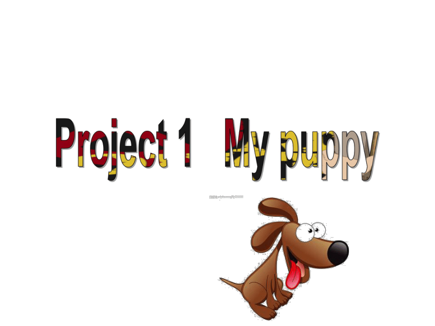Project 1 My puppy 课件