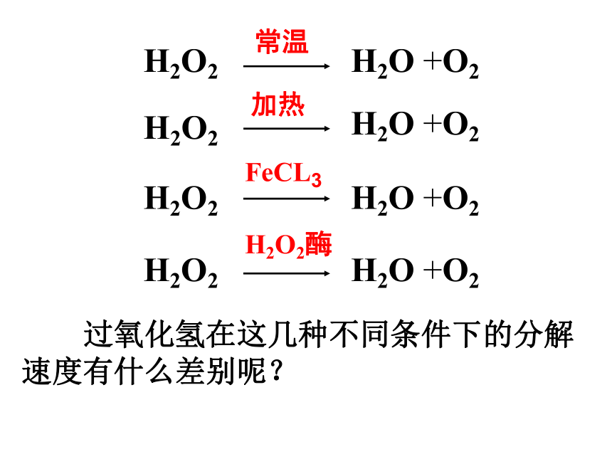 必修1第五章第一节 降低化学反应活化能的酶