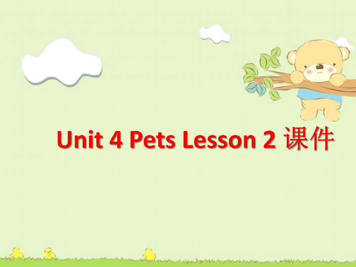 Unit 4 Pets Lesson 2课件(共15张PPT)