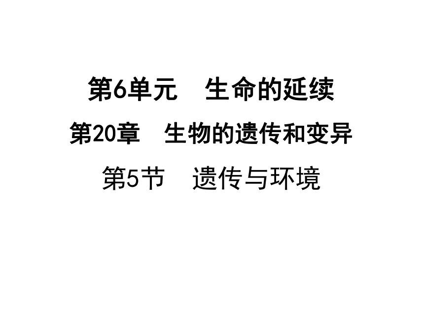 2019年秋八年生物北师大版上册课件：20.5遗传与环境（28张ppt）