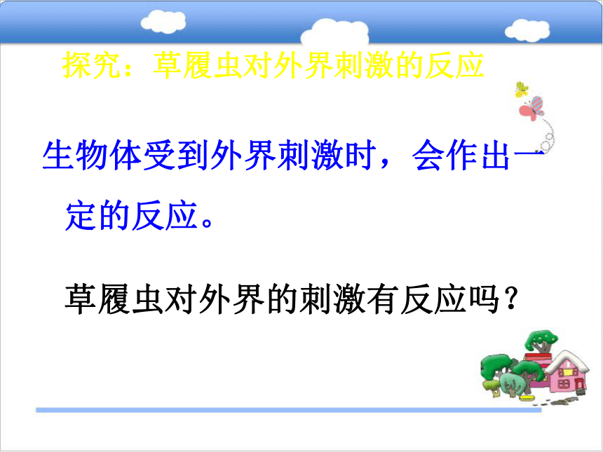 七年级生物上册1.2.4单细胞的生物体课件冀教版