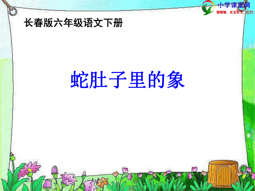 《蛇肚子里的象》课件