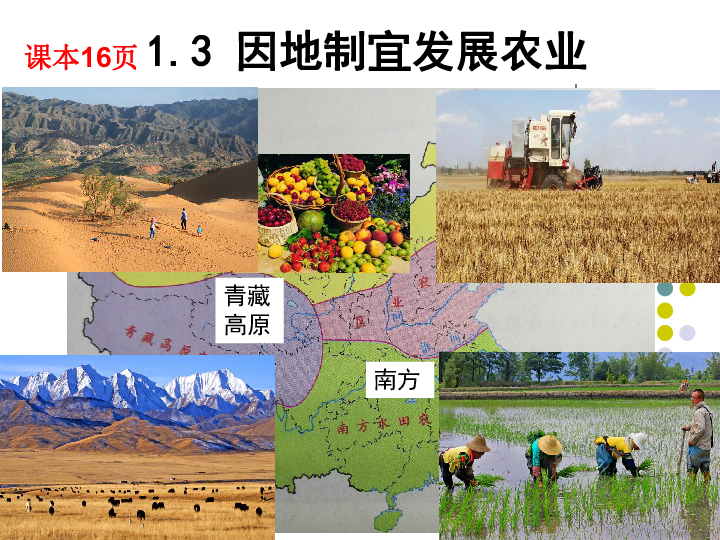 3 因地制宜发展农业(共19张ppt)