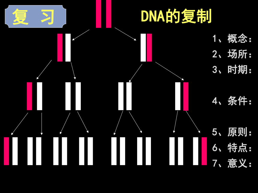 3.4 基因是有遗传效应的DNA片段