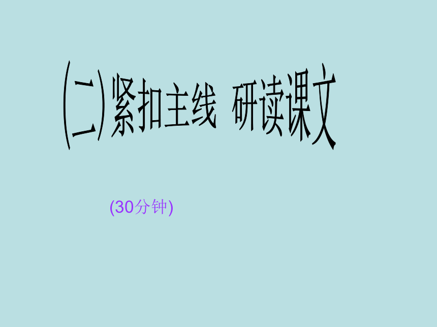 《唯一的听众》说课课件