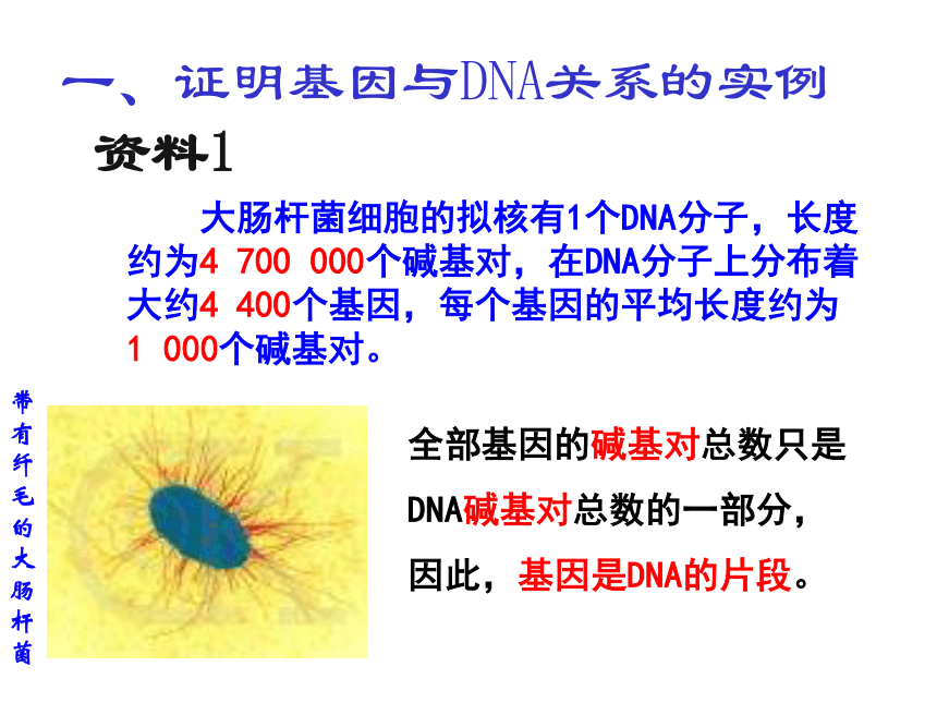 高中生物人教版必修2第三章第4节 基因是有遗传效应的DNA片段  课件（28张）