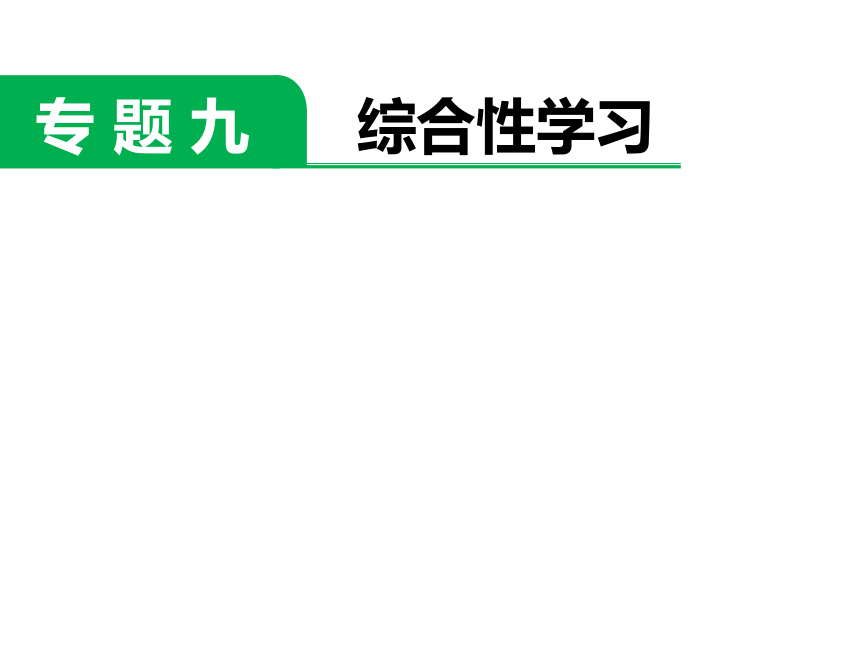 小升初专题复习  综合性学习 全国通用  (共22张PPT)