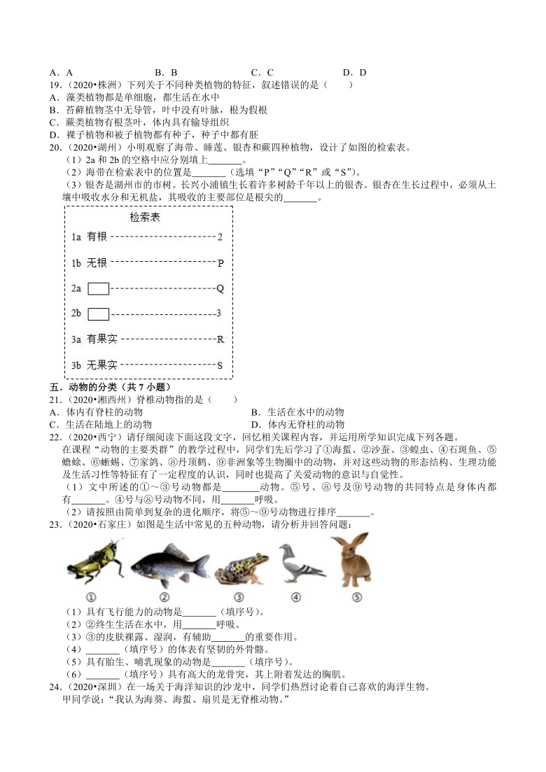 2020年全国中考生物试题分类（17）——生物分类：微生物、植物 （word版含解析）