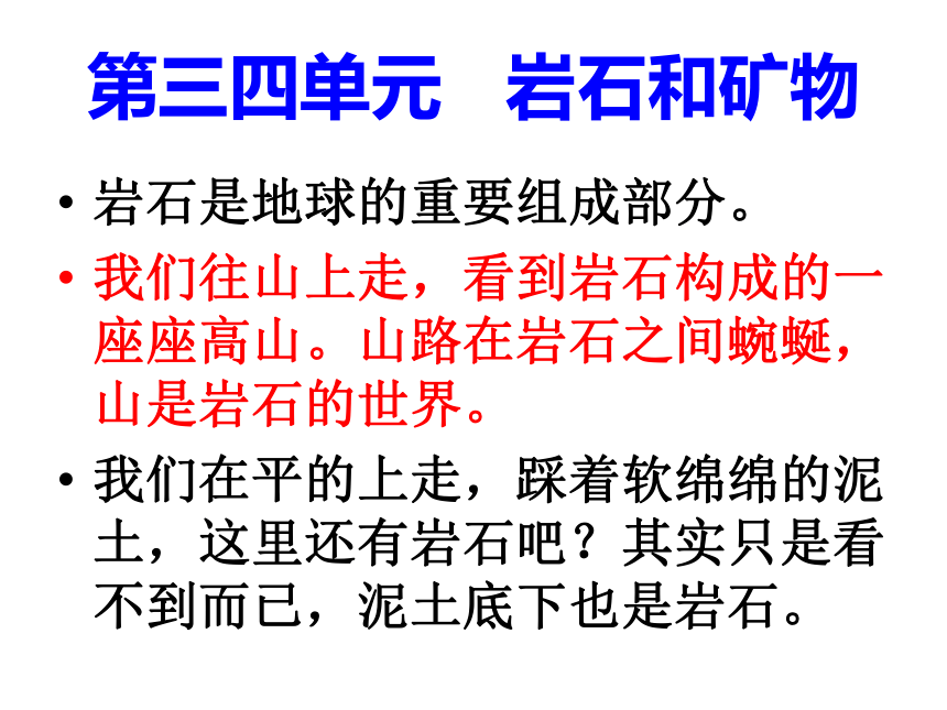 《各种各样的岩石》   课件