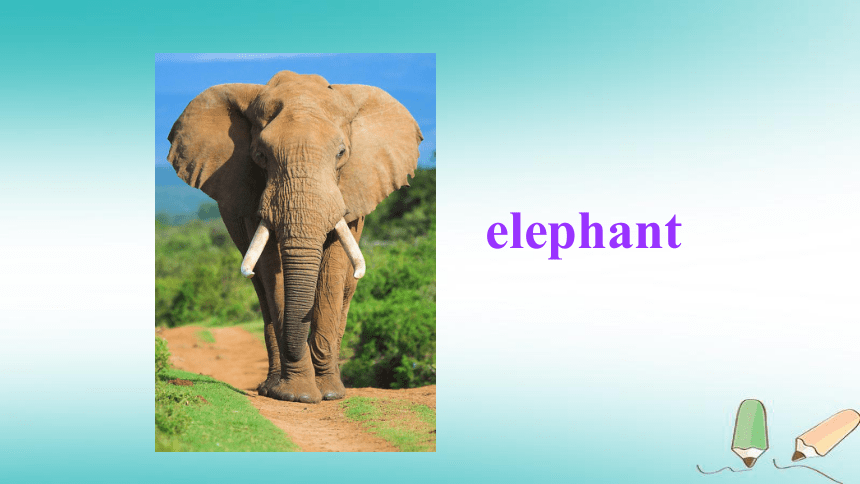 Unit 3 Animals Are Our Friends Lesson 15 The Zoo Is Open课件（18张PPT）