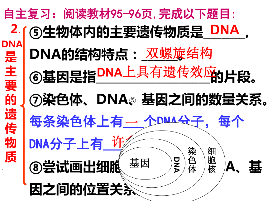 济南版八年级生物中考复习生物的遗传和变异复习一课件（17张ppt）