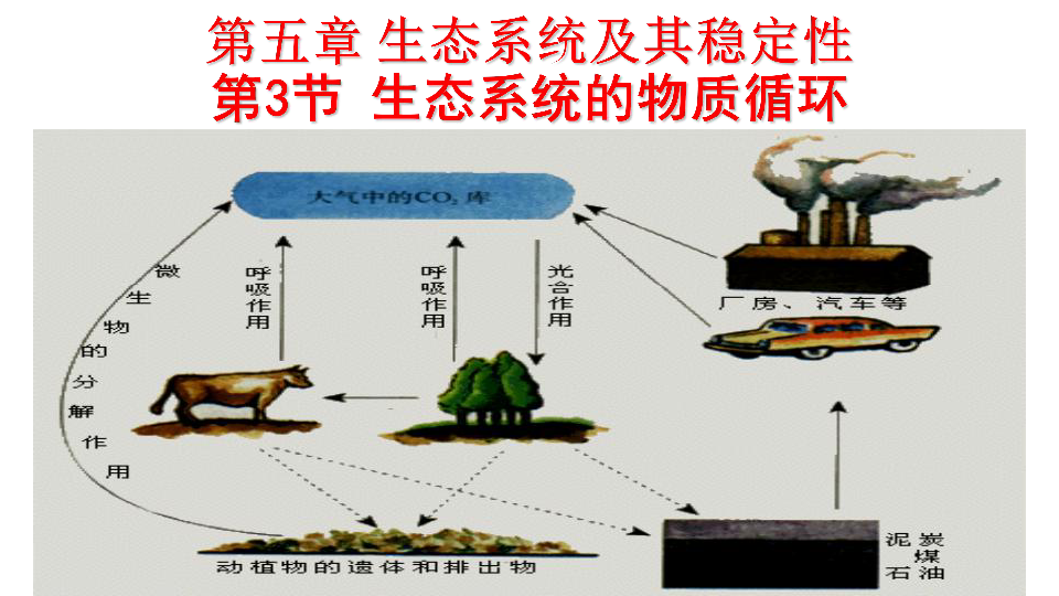 人教版高中生物必修三53生态系统的物质循环24ppt