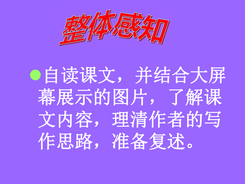 恐龙无处不在[上学期]