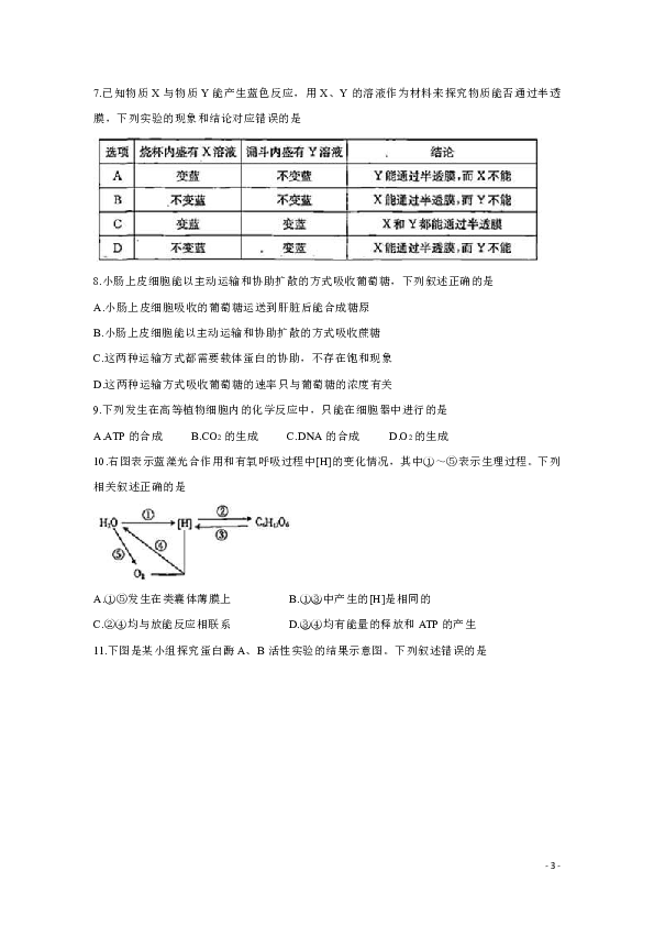 全国Ⅰ卷2020届高三上学期五省优创名校第二次联考试题 生物