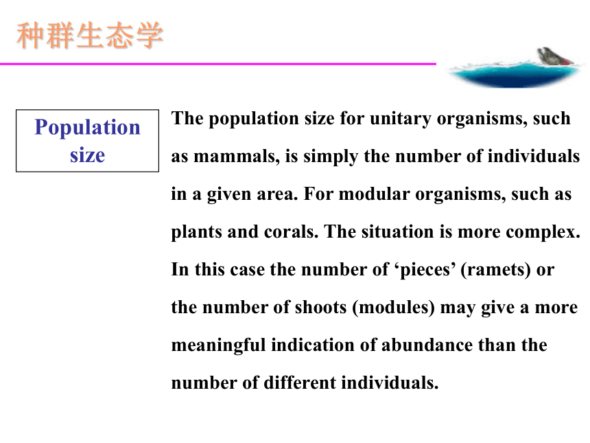种群生态学_种群的密度和分布