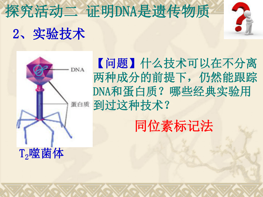 高中生物人教版《必修二 遗传与进化》3.1 DNA是主要的遗传物质 课件（共29张PPT）