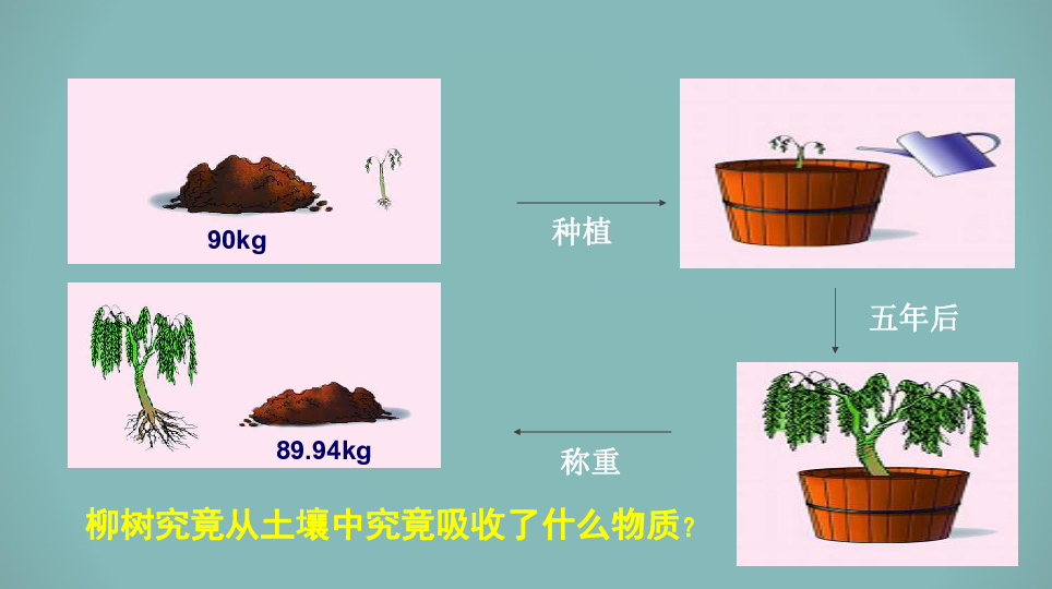 4.2《绿色植物的生长需要——水和无机盐》课件（27张PPT）