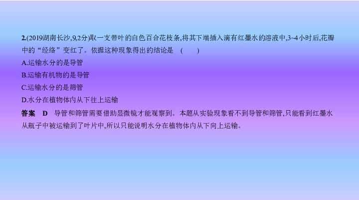 2020版人教中考生物一轮专题课件专题四 绿色植物的作用课件（130张PPT）