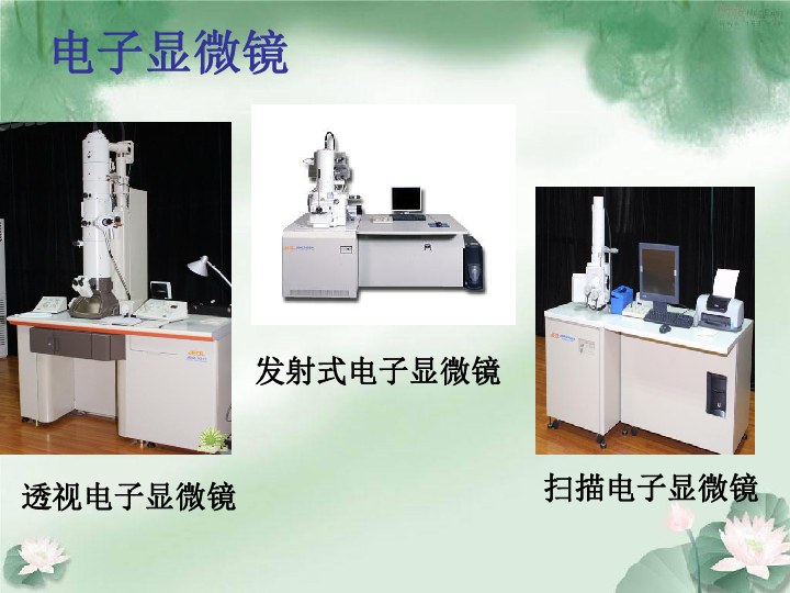 苏科版七上生物 1.2生物学的基本研究方法 课件  (16张PPT)