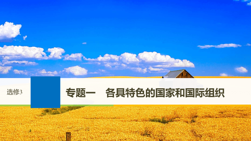 2019届高考政治一轮复习专题一各具特色的国家和国际组织课件新人教版选修