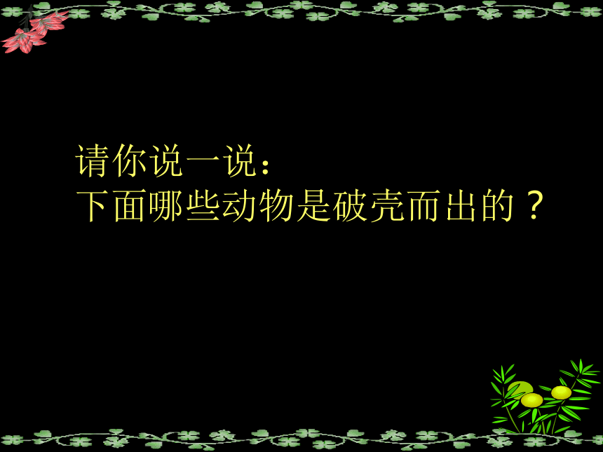 美术一年级下人美版3出壳了说课课件（30张）