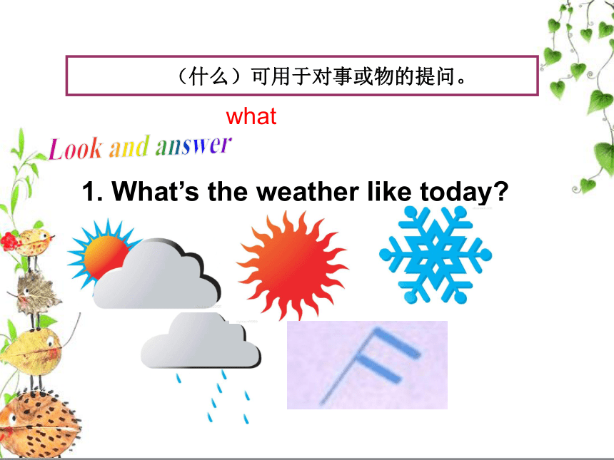 八年级英语上册特殊疑问句 课件(25张PPT，内嵌音频)