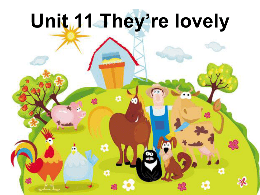 Unit 11 They’re lovely 课件