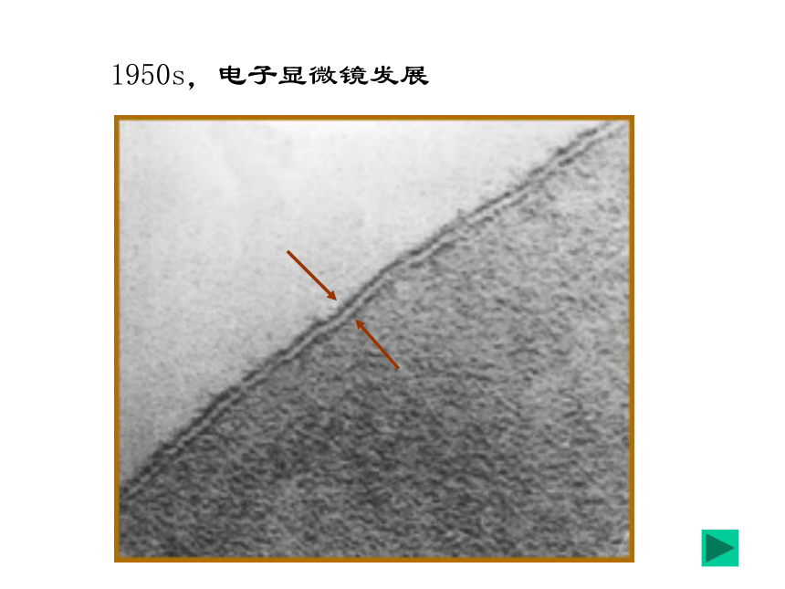 人教版高中生物必修一3.1：细胞膜——系统的边界(35张PPT)