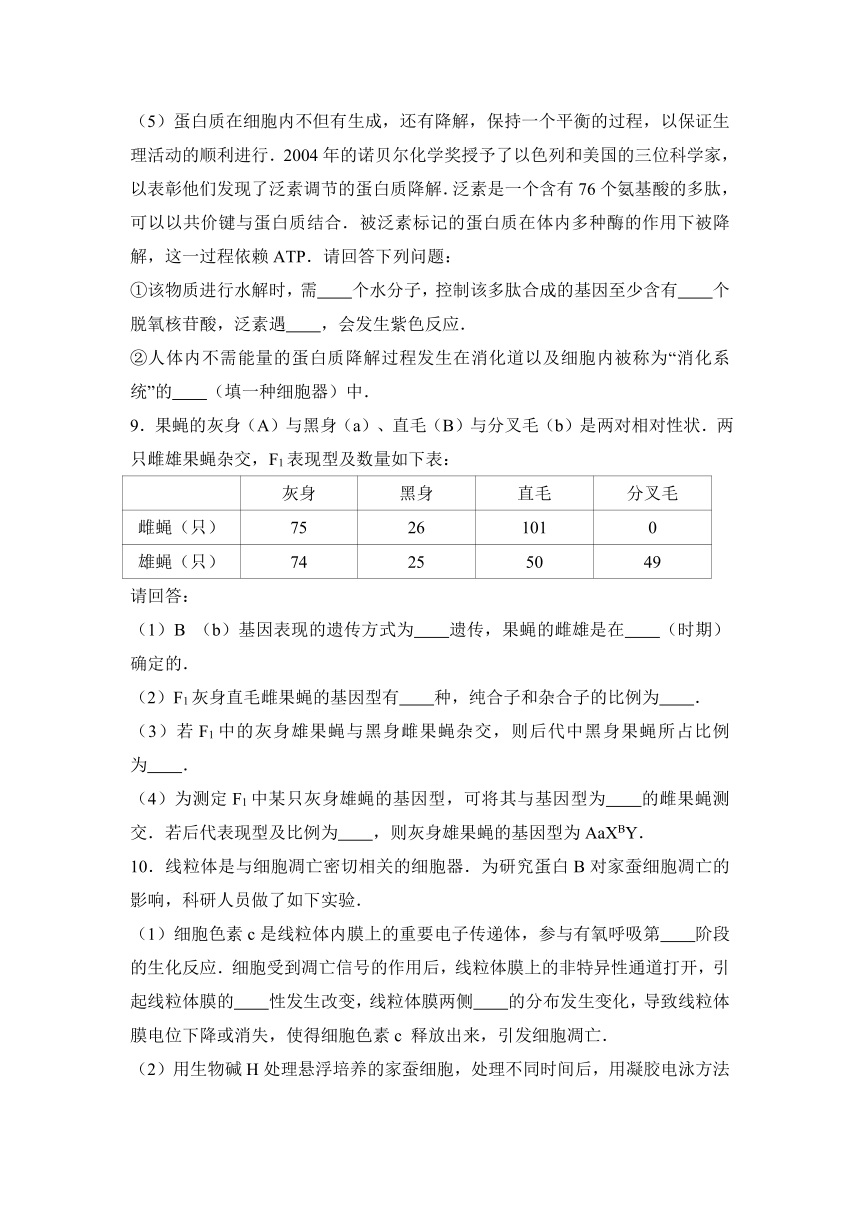 四川省成都市经开区实验高中2017届高三（上）期末生物模拟试卷（解析版）