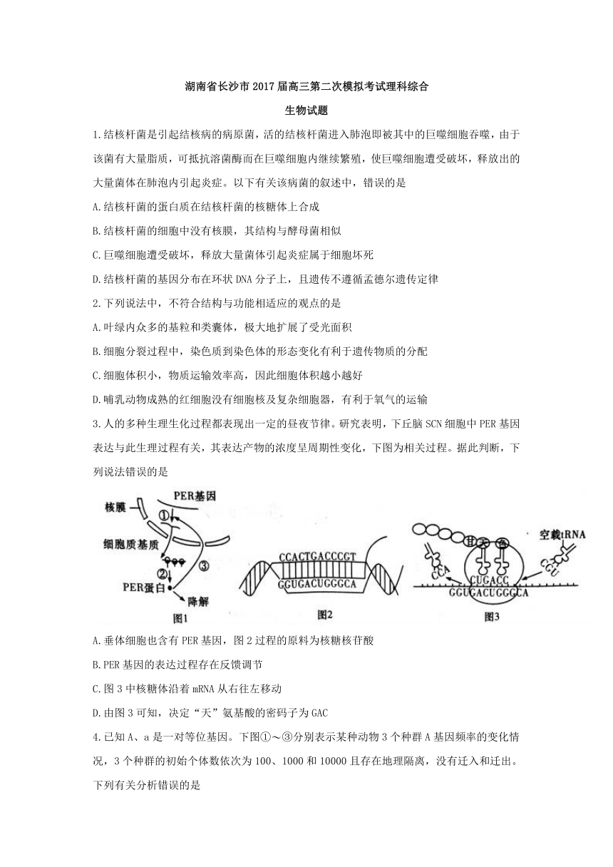 湖南省长沙市2017届高三第二次模拟考试理科综合生物试题