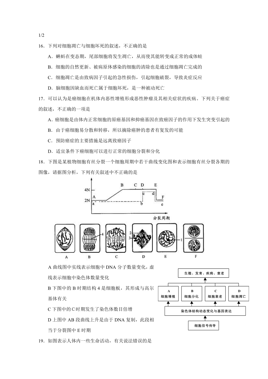 江西省南昌市八一中学2017-2018学年高一下学期期末考试生物试题