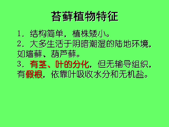 第三单元《生物圈中的绿色植物》第一章生物圈有哪些绿色植物复习课  课件（共20张PPT）