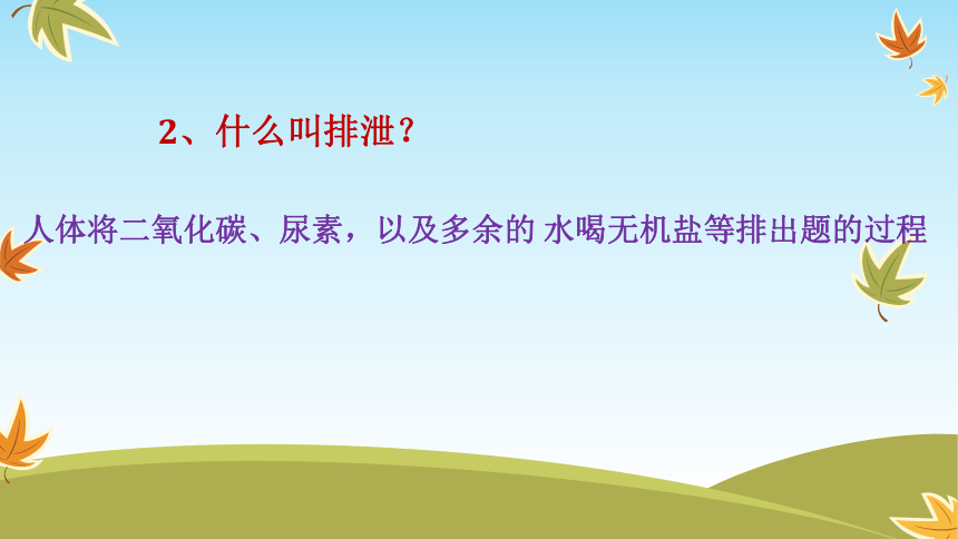 人教版七年级生物下册4.5人体内废物的排出 课件 (共27张PPT)