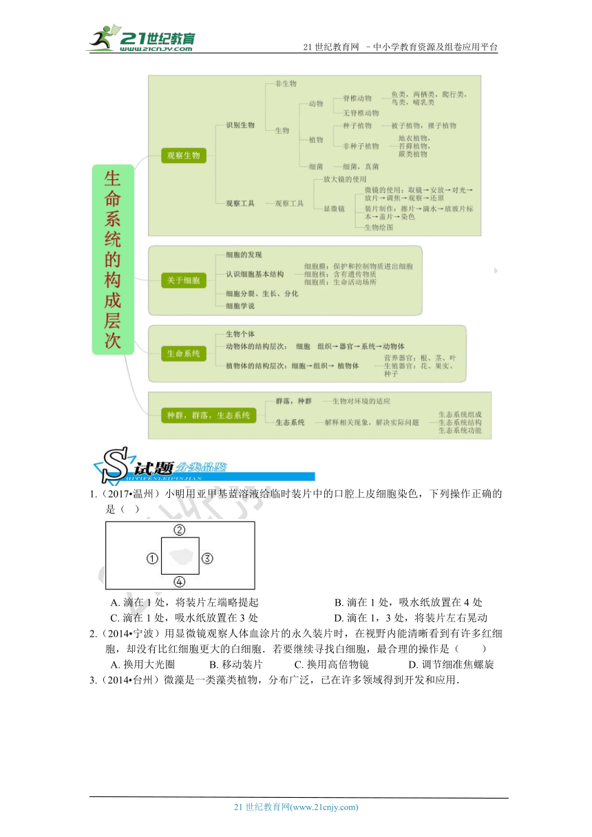 【备考】华师大版科学中考二轮复习 第一讲 生命系统的构成层（中考真题+模拟题）