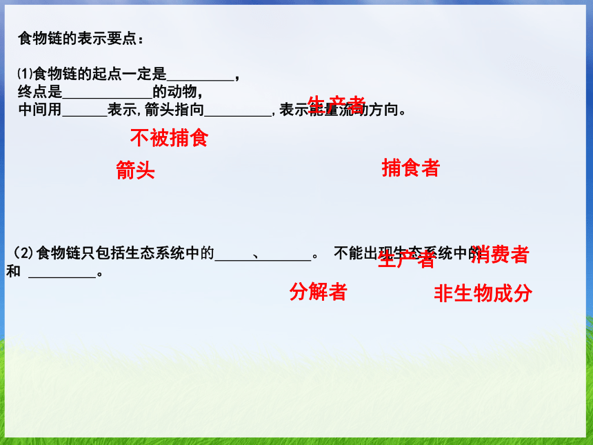 济南版八年级生物下册 专题八--_生态系统 复习课件（25张ppt）