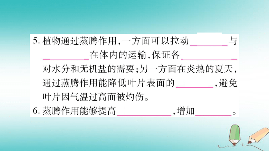 2018秋七年级生物上册第3单元第3章绿色植物与生物圈的水循环习题课件（25张PPT）