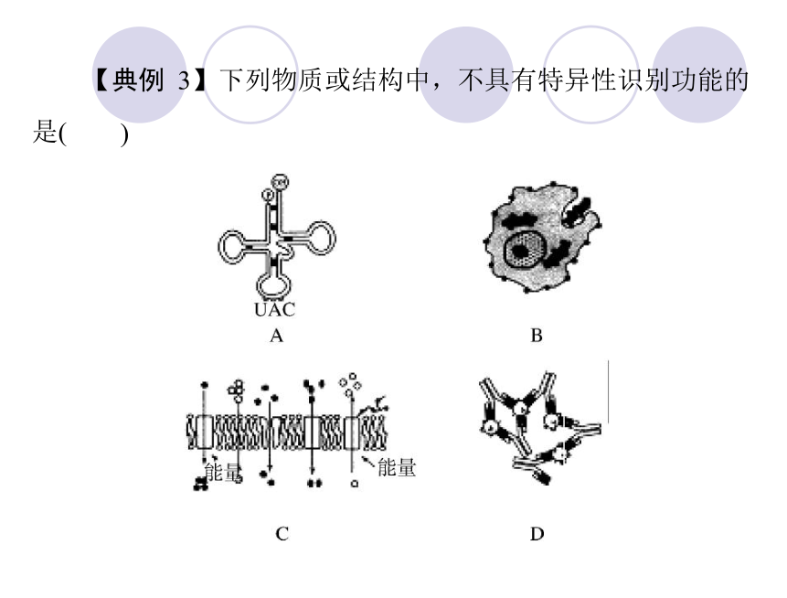 【高考风向标】2014高考生物二轮课件 第二部分特色专题四：选择题的解题方法