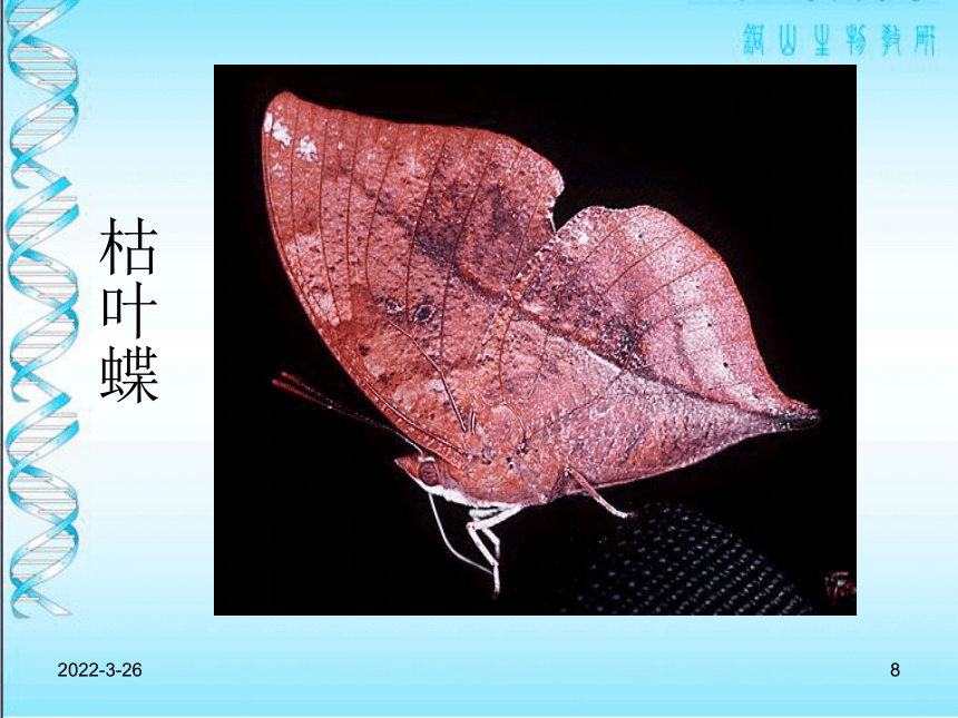 1.1 生物与生物学 课件（共36张PPT）