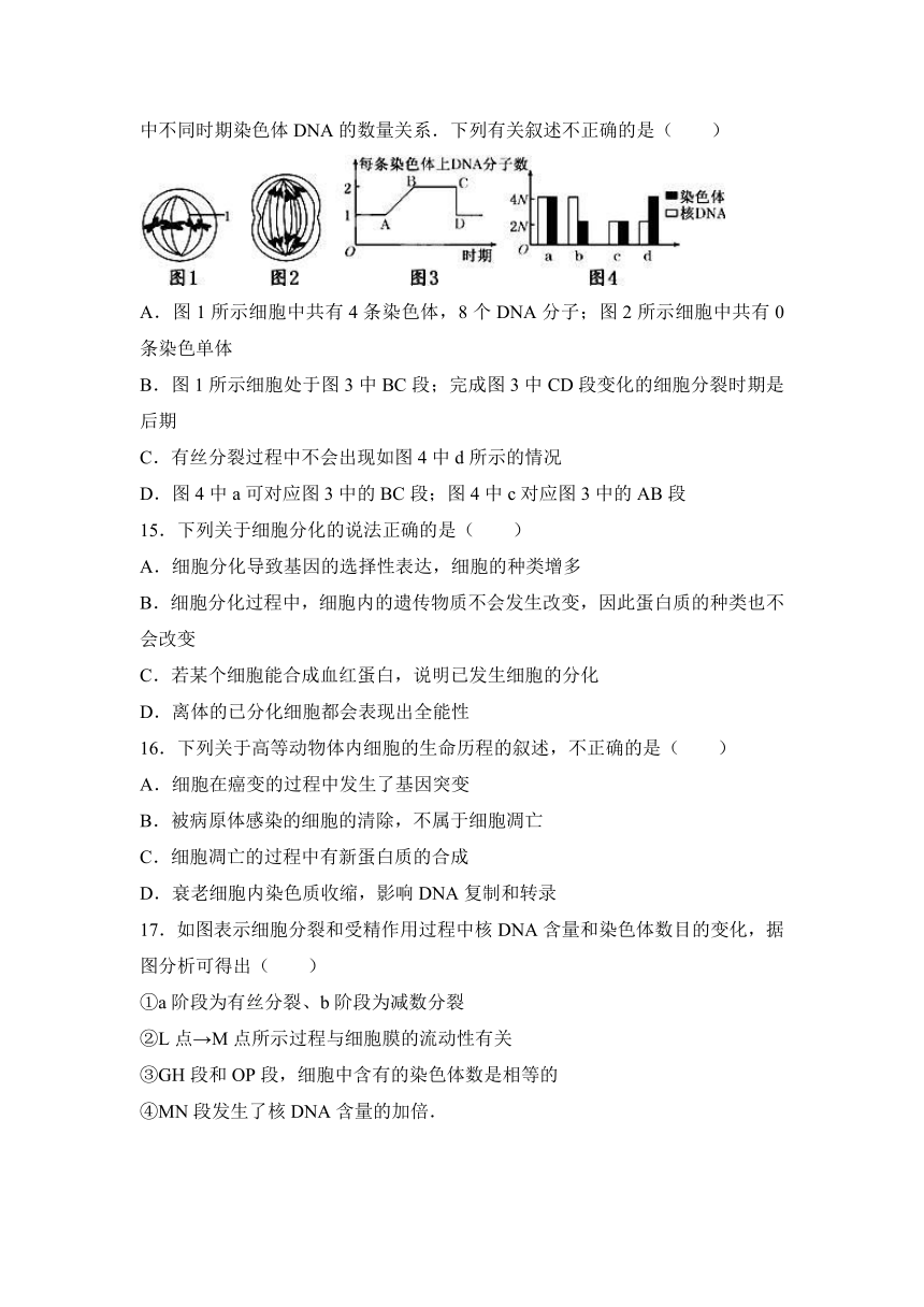 海南省北师大万宁附中2017届高三（上）第四次月考生物试卷（解析版）