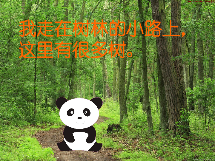 河大版信息技术六下第2课《大熊猫美丽的家—设置背景和效果》课件（20张幻灯片）