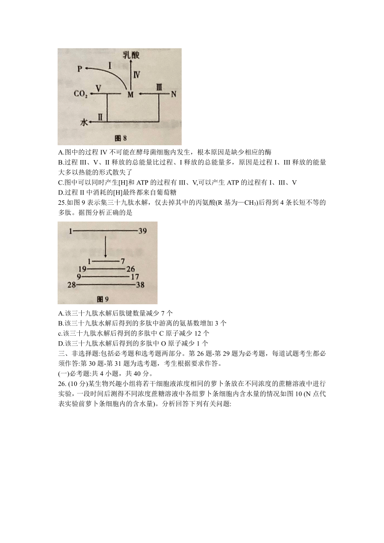 重庆市巴蜀中学2021届高三高考适应性月考卷（一）生物试题