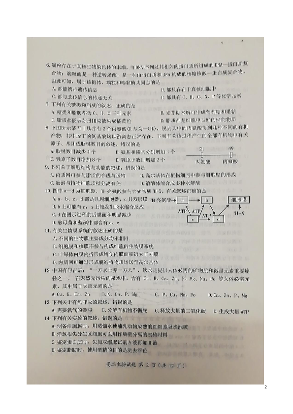 福建省三明市2018-2019学年高二上学期期末质量检测生物试题 扫描版