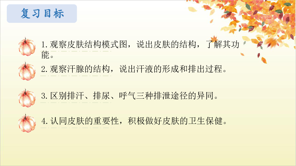 济南版七年级下册第三单元第4章 人体内代谢废物的排出（二）汗液的形成和排出复习课  课件（共19张PPT）