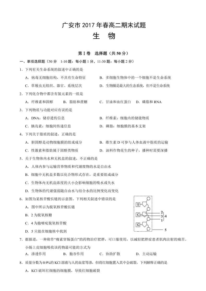 四川省广安市2016-2017学年高二下学期期末考试生物试题