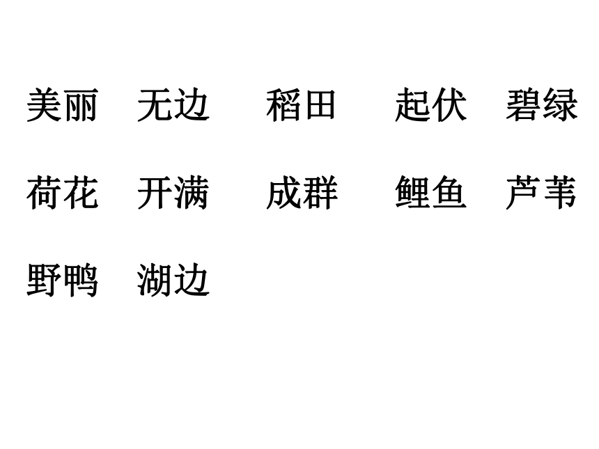 语文一年级下北京版7.20《我们的田野》课件